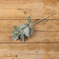 Load image into Gallery viewer, 18.75" DUSTY MILLER SPRAY
