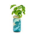 Load image into Gallery viewer, NEW Herb Garden Jar
