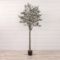 Load image into Gallery viewer, 6' OLIVE TREE IN BLACK POT
