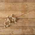 Load image into Gallery viewer, 39.5" WHITE PEAR BLOSSOM SPRAY
