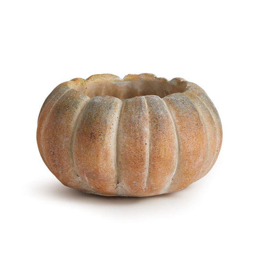 Cinderella Pumpkin Cachepot