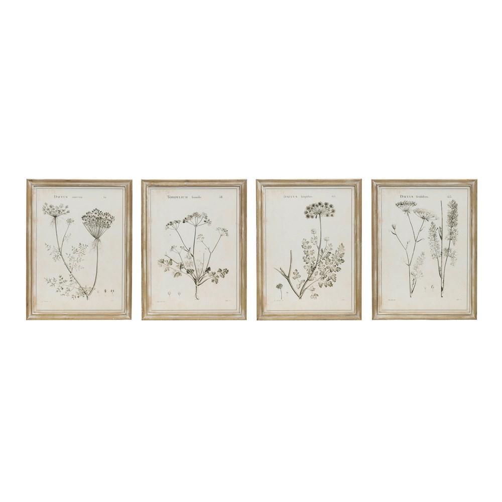 Wood Framed Wall Decor w/ Vintage Reproduction Botanical Print - (Need to separate once delivered )