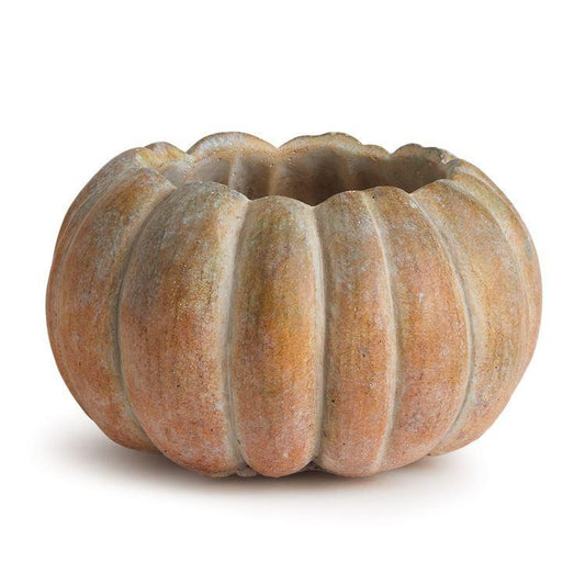 Cinderella Pumpkin Cachepot