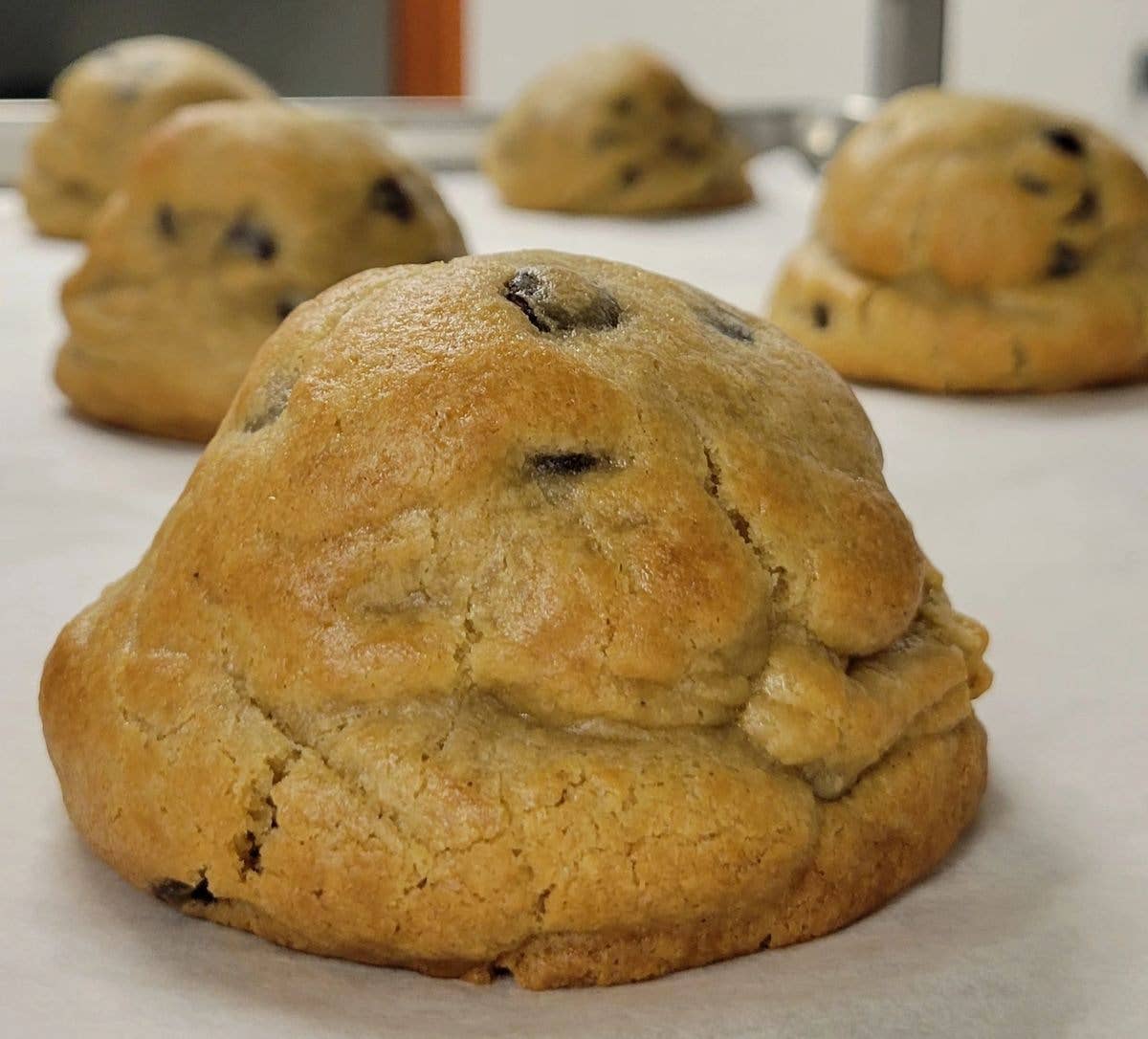 Cookie, Gluten "Friendly" Chocolate Chip