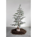 Load image into Gallery viewer, Faux Pine Tree w/ Burlap Base, Ice Finish
