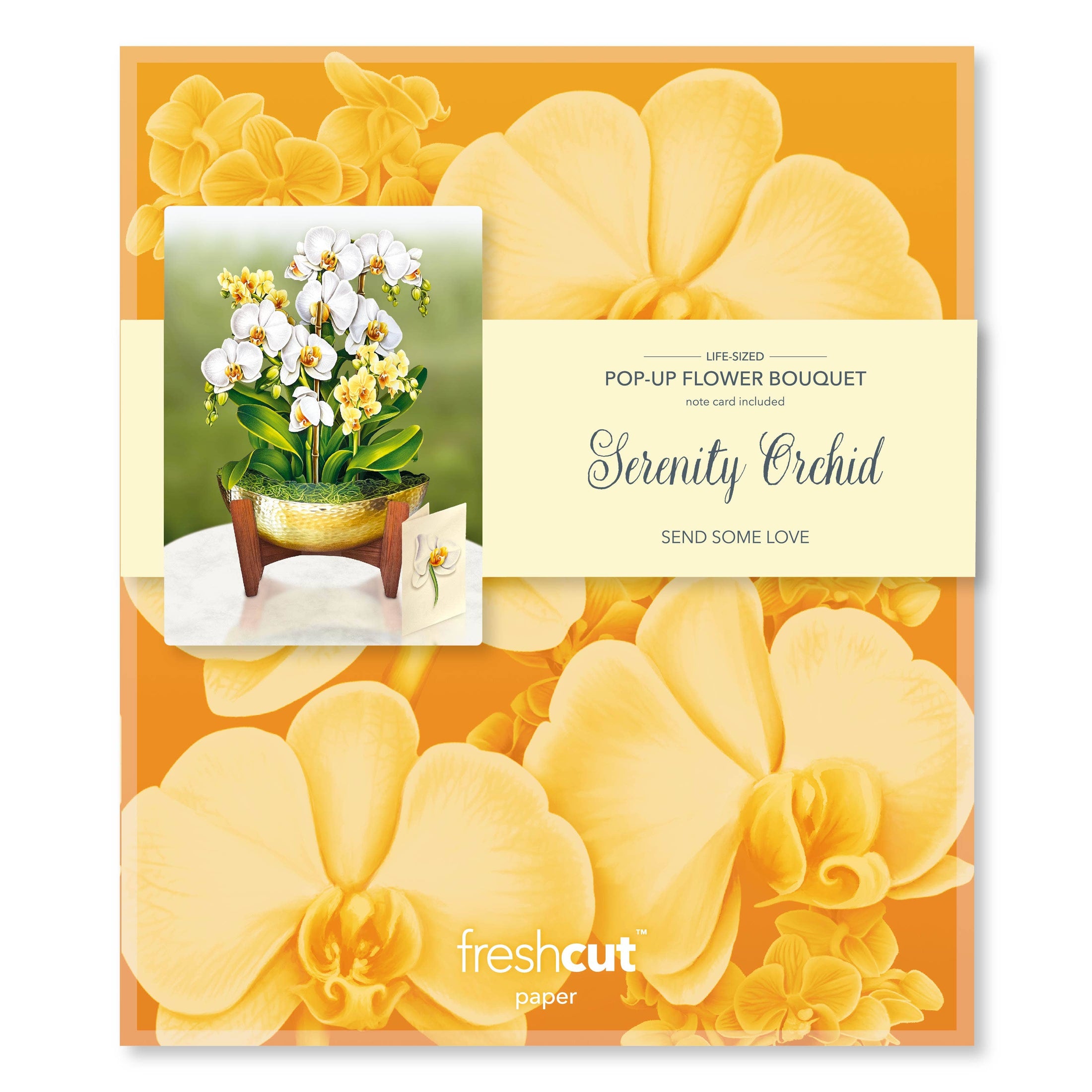 Serenity Orchid (8 Pop-up Greeting Cards)