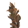 Load image into Gallery viewer, Garland, Bronzed Magnolia Leaf
