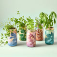 Load image into Gallery viewer, NEW Herb Garden Jar
