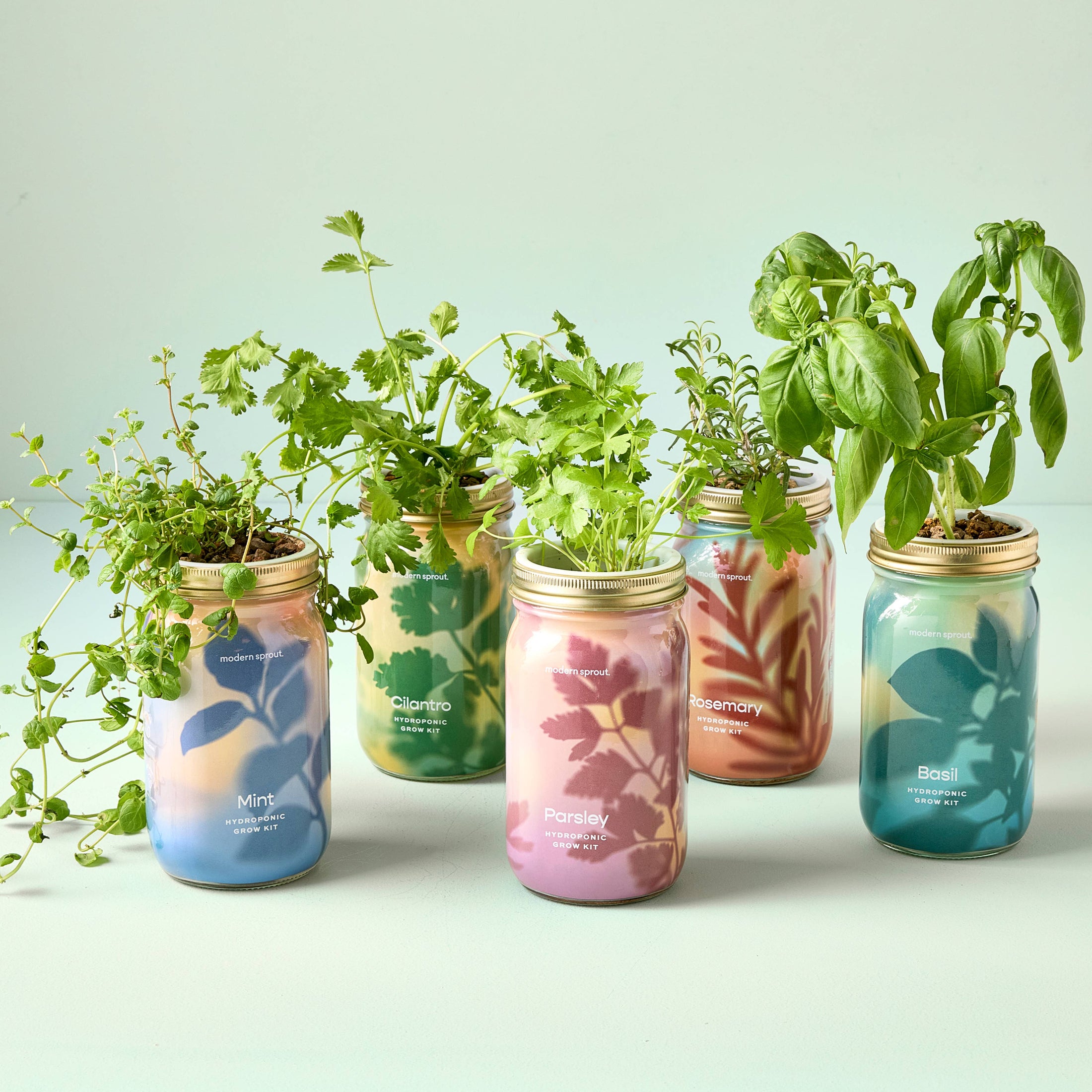 NEW Herb Garden Jar