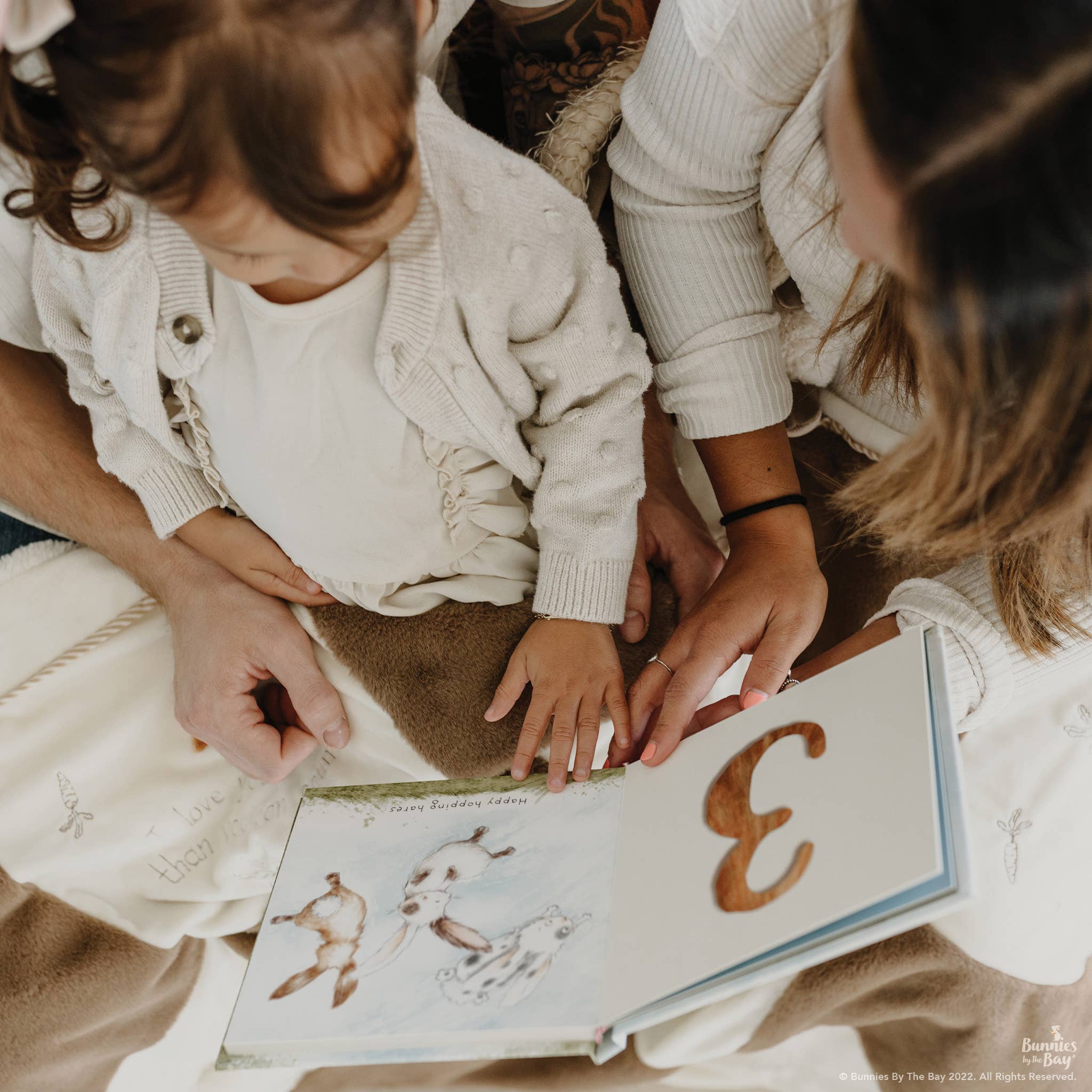 Hares Play - A Counting Book