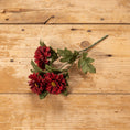 Load image into Gallery viewer, 10.5" RED ZINNIA PICK
