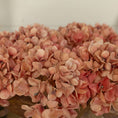 Load image into Gallery viewer, 26.5" SALMON HYDRANGEA SPRAY
