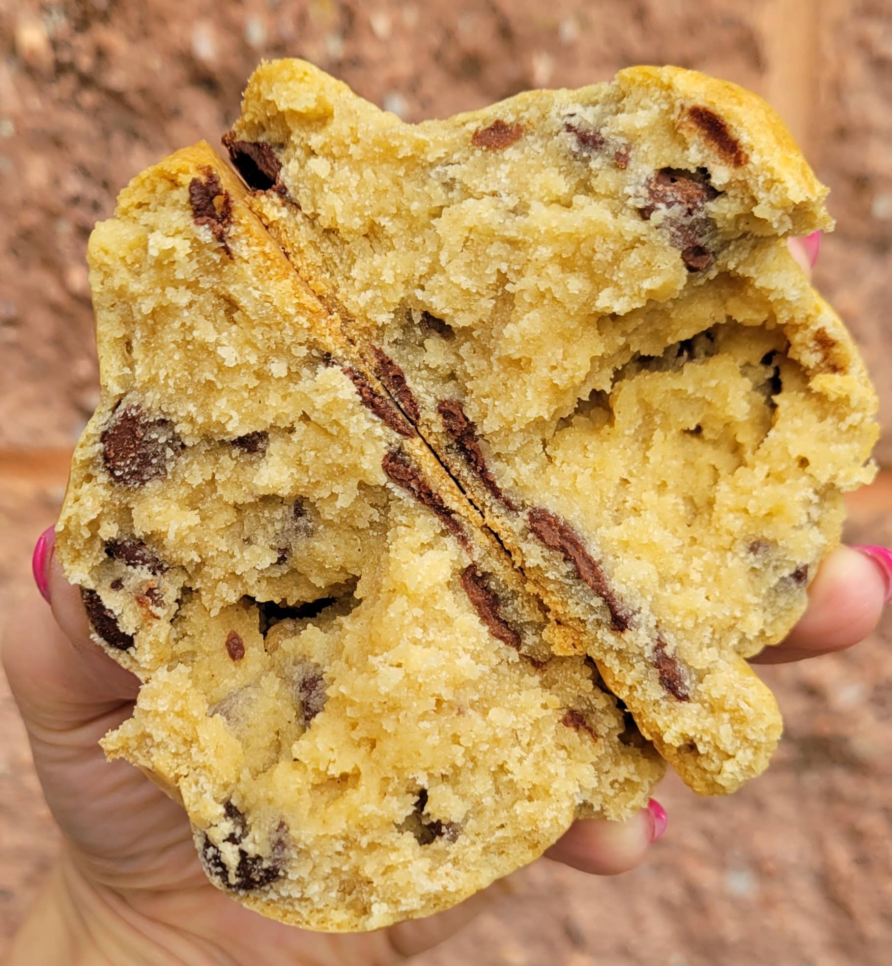 Cookie, Gluten "Friendly" Chocolate Chip