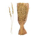 Load image into Gallery viewer, Grass Bunch, Dried Natural Avana
