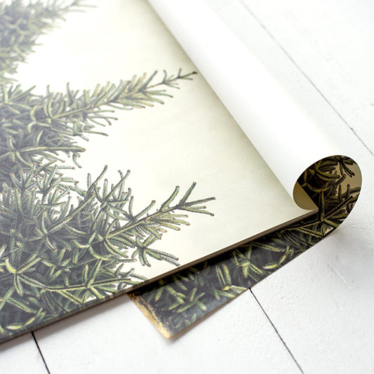 Placemat, Fir Trees