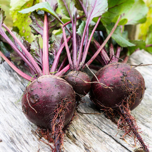 Beet