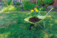 Load image into Gallery viewer, Beetle & Bee Kid Sized Wheelbarrow, Asst (Red & Green)
