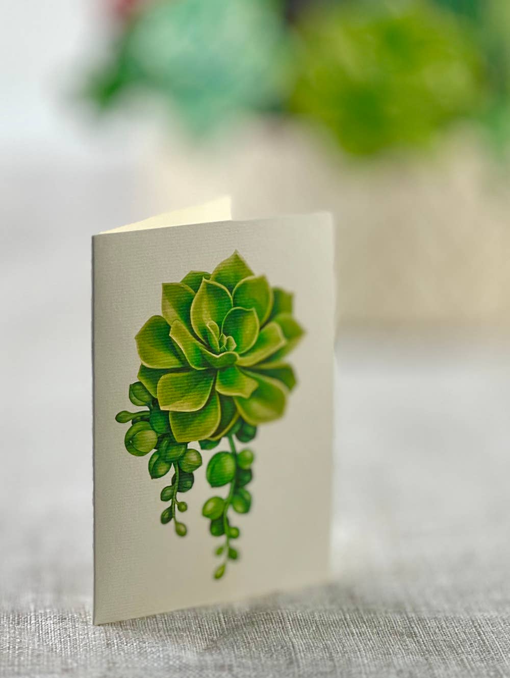 Cactus Garden (8 Pop-up Greeting Cards)