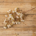 Load image into Gallery viewer, 39.5" WHITE PEAR BLOSSOM SPRAY
