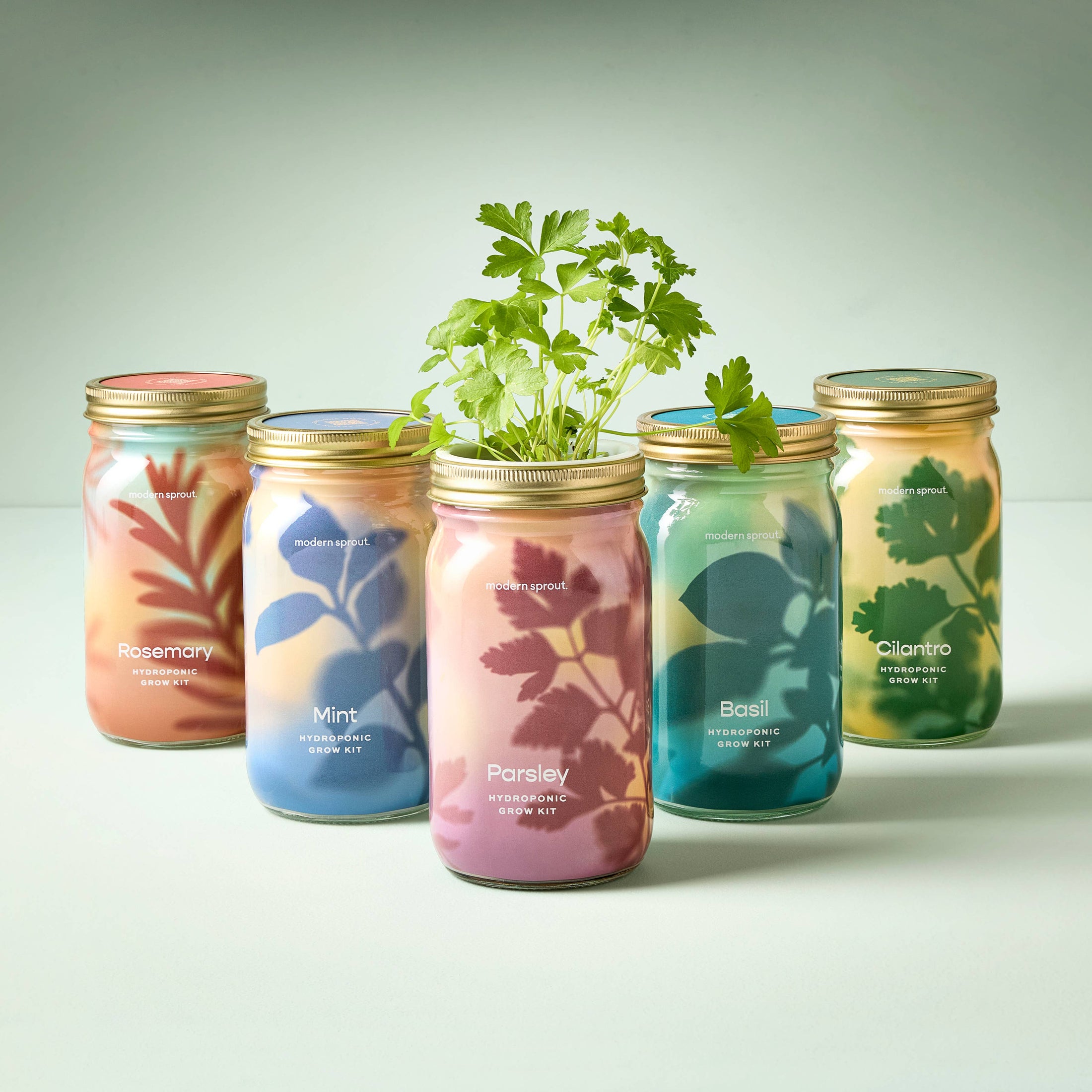 NEW Herb Garden Jar