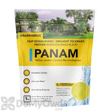 Panam, Bermudagrass Seed