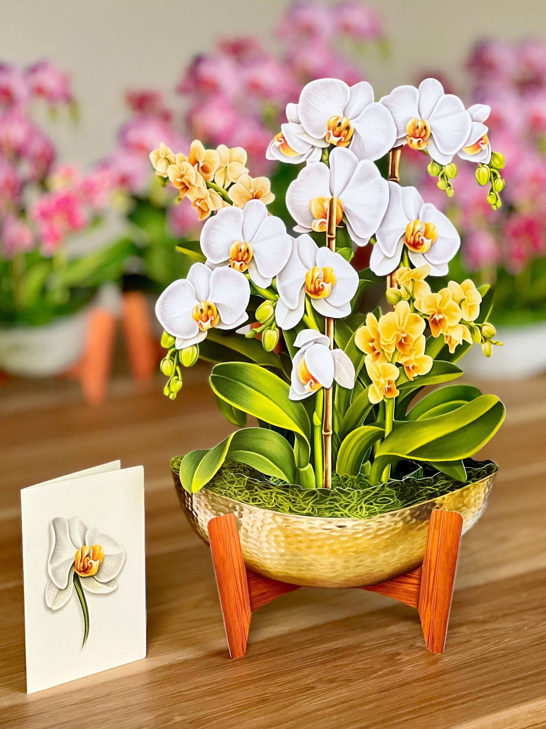 Serenity Orchid (8 Pop-up Greeting Cards)