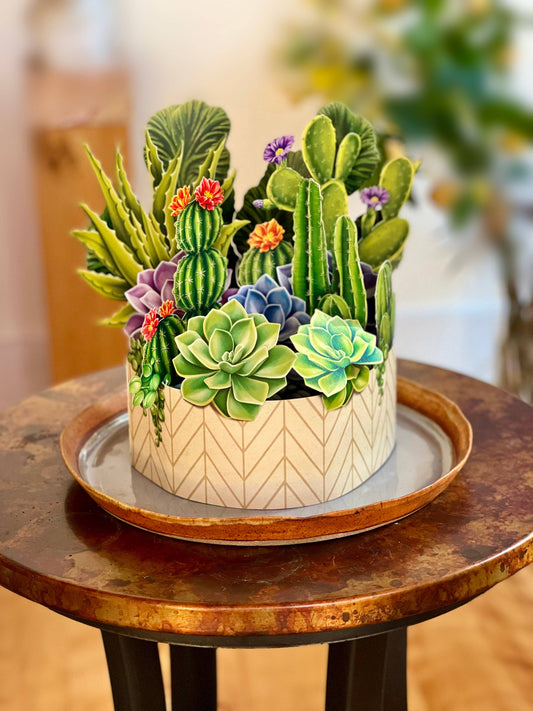 Cactus Garden (8 Pop-up Greeting Cards)