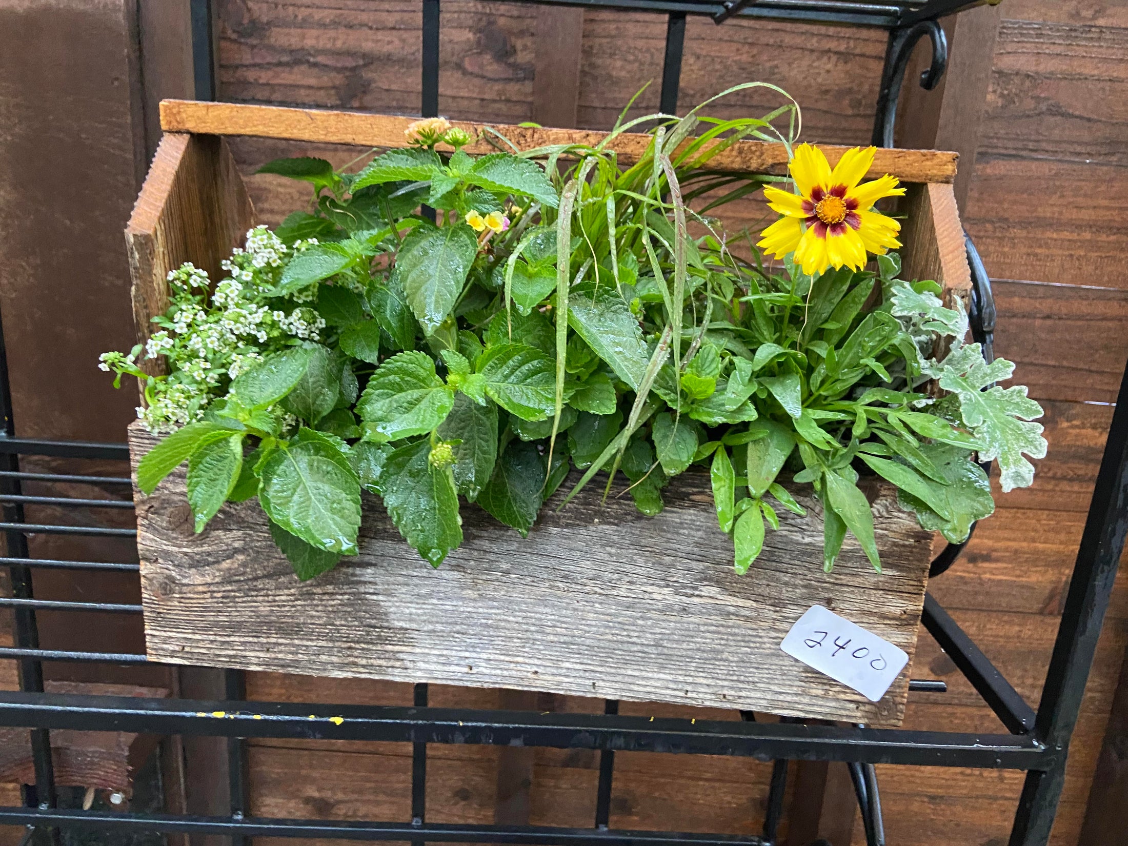 Wooden Planter Arrangement