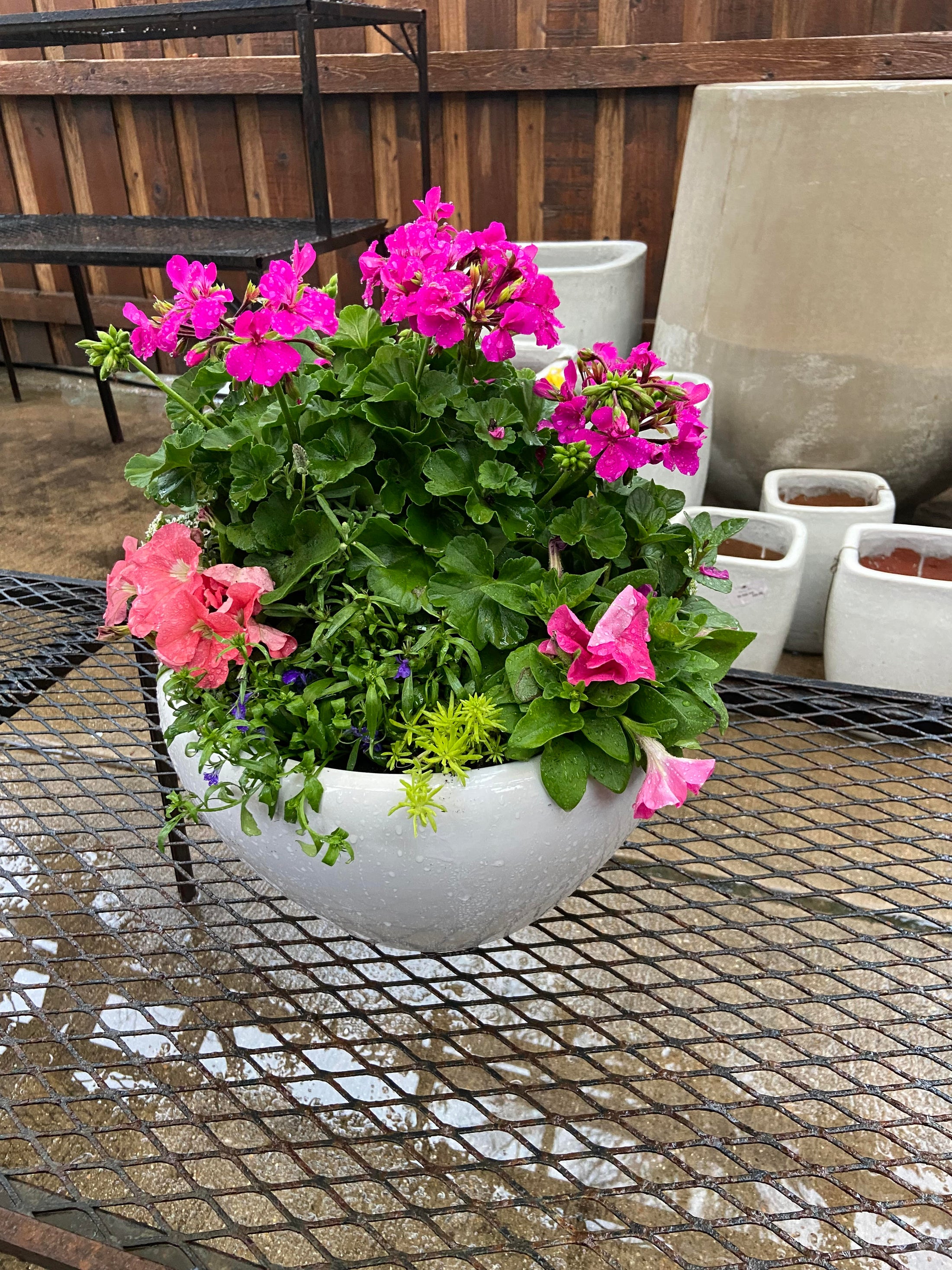 Round White Planter Arrangement