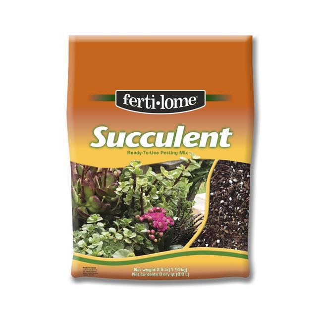 Succulent fertilome potting mix