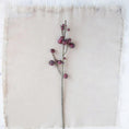 Load image into Gallery viewer, Faux Berry Stem, Cranberry

