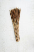 Load image into Gallery viewer, Bundle of Dried Miniature Cattails
