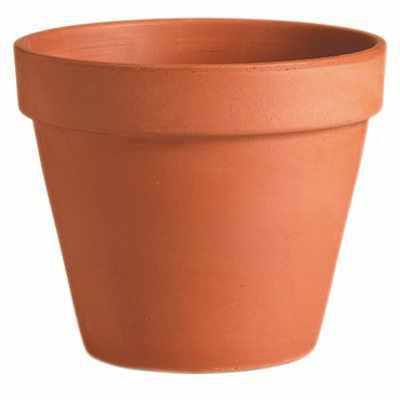 Terracotta Standard Pot