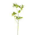 Load image into Gallery viewer, Crafted Green Basil Stem
