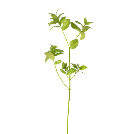 Crafted Green Basil Stem