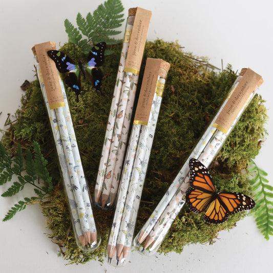 Pencil Terrarium - Set of 5