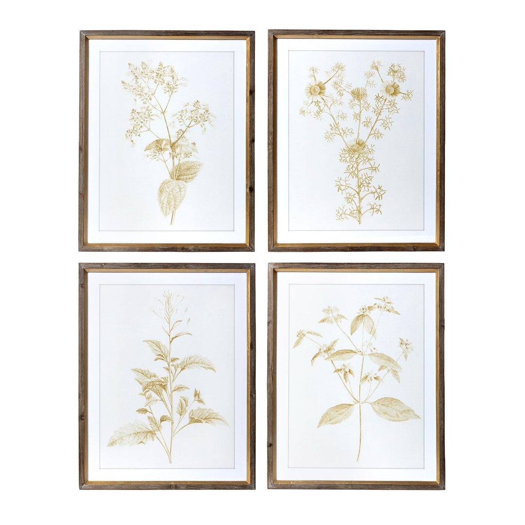 Wall Art,  Sepia Botanical Framed Prints