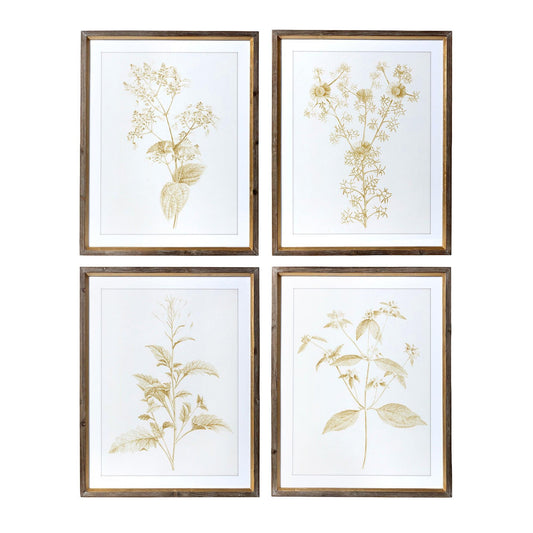 Wall Art,  Sepia Botanical Framed Prints