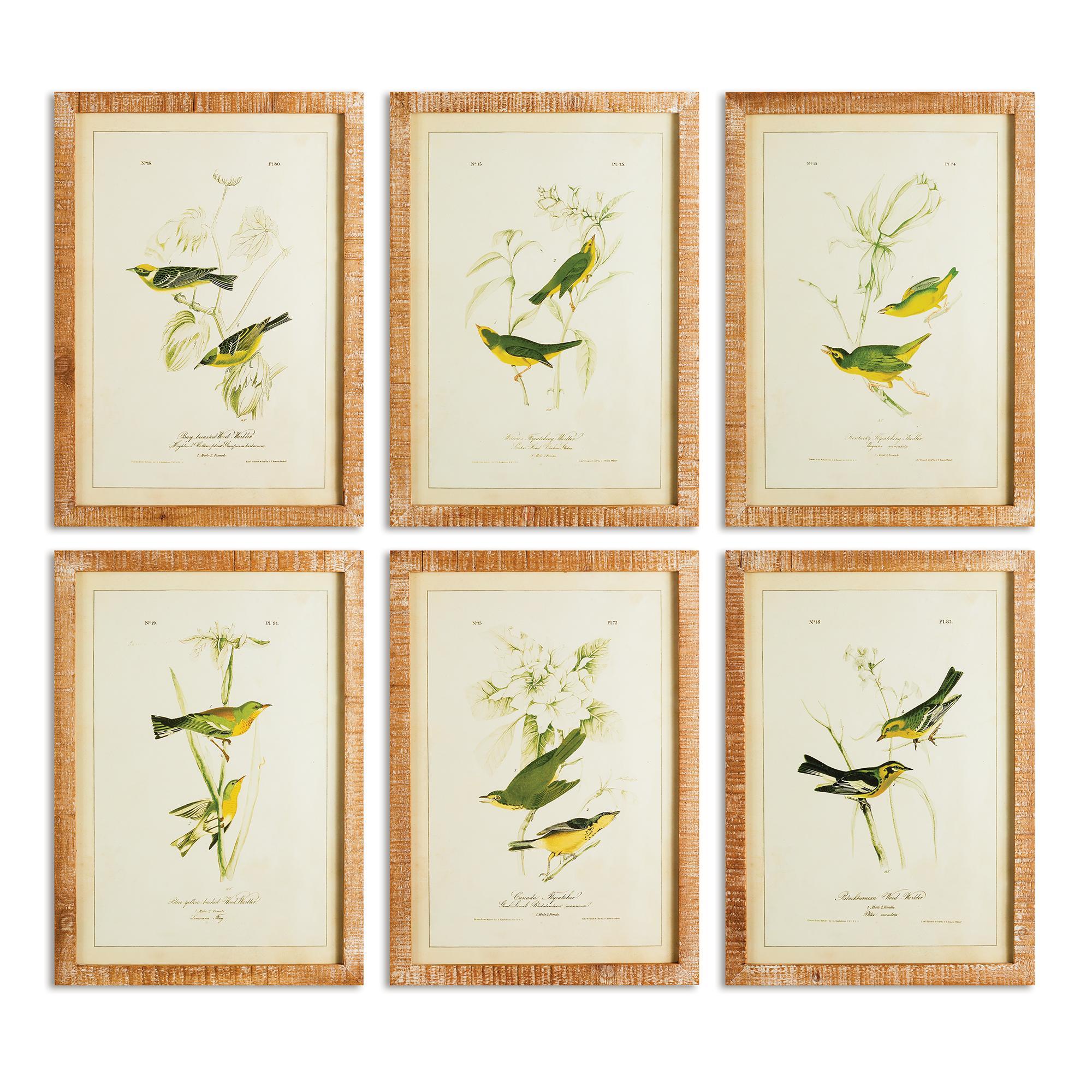 Prints, Green Birds Study (S/6)
