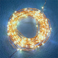 Load image into Gallery viewer, Napa Night Sky LED Wire String Lights
