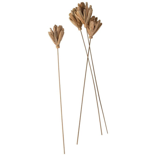 Dried Lily Lotus Flower Pick