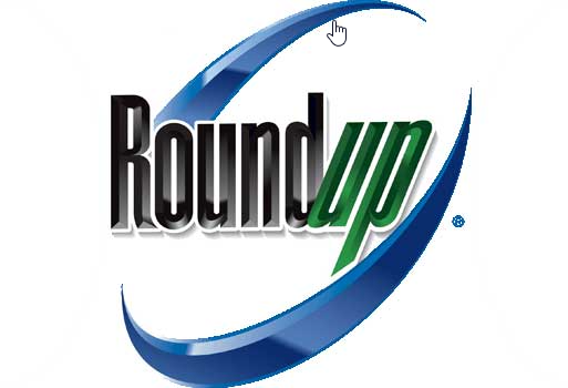 Roundup Weed and Grass Killer with Sprayer