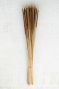Load image into Gallery viewer, Bundle of Dried Miniature Cattails
