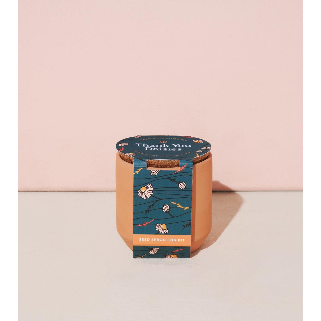 Tiny Terracotta Kit