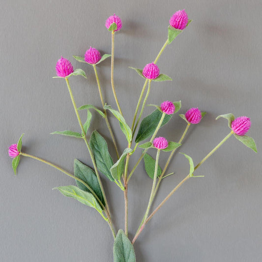 Crafted Gomphrena Stem