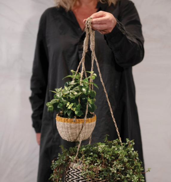 Planter, Hanging Basket w/Orange