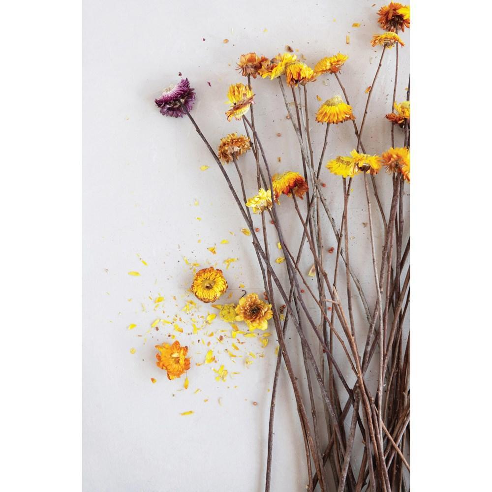 Dried Natural Straw Flower Bunch, Multi Color