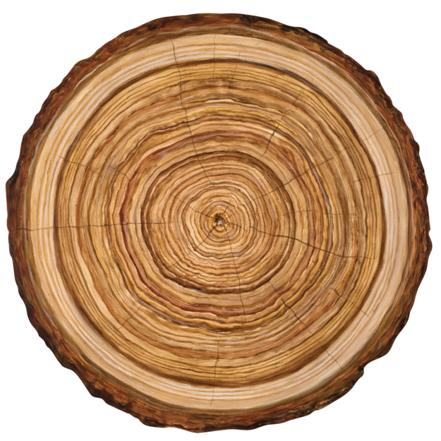 Die Cut Wood Slice Placemat