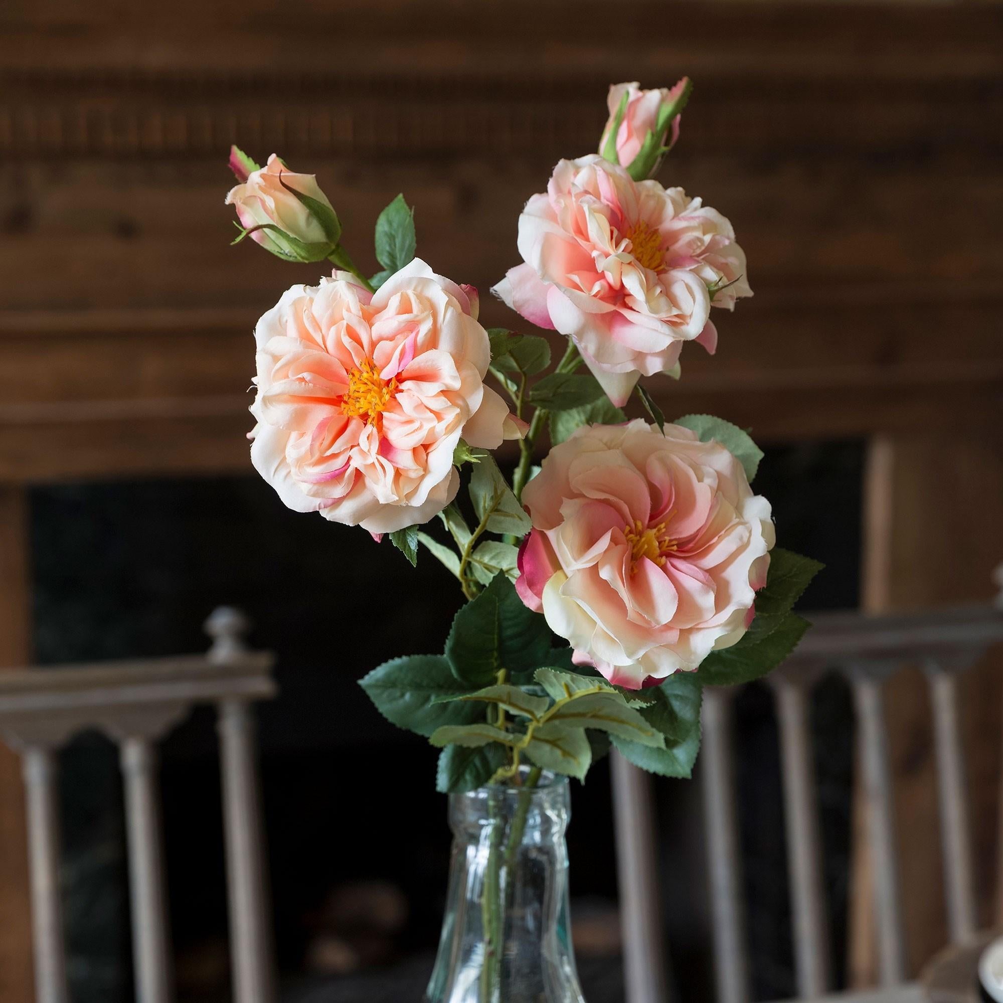 Gathered Peach Garden Roses, 3 Assorted Styles