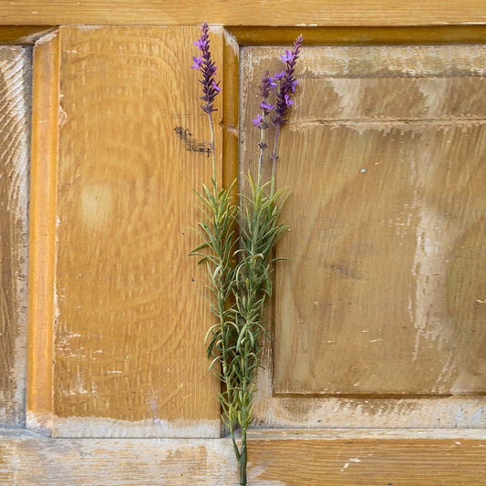 Lavender Stem